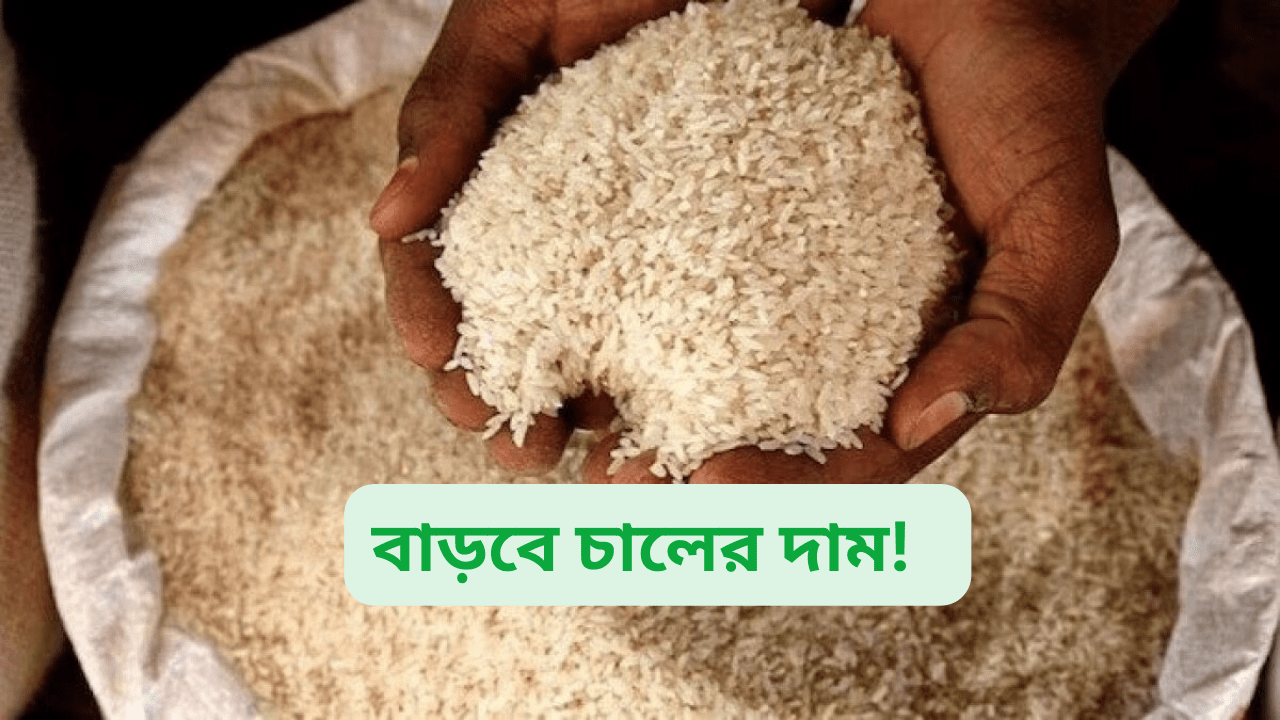 Rice-price-rate