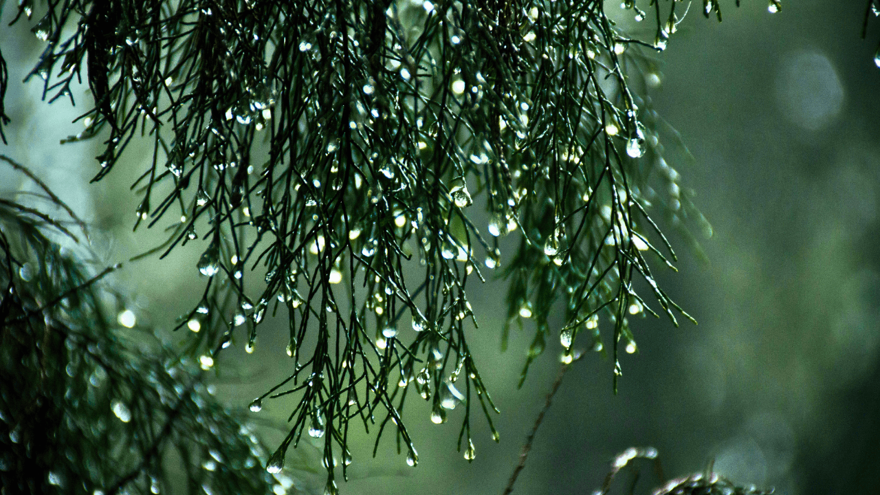 Weather-Update-moonsoon