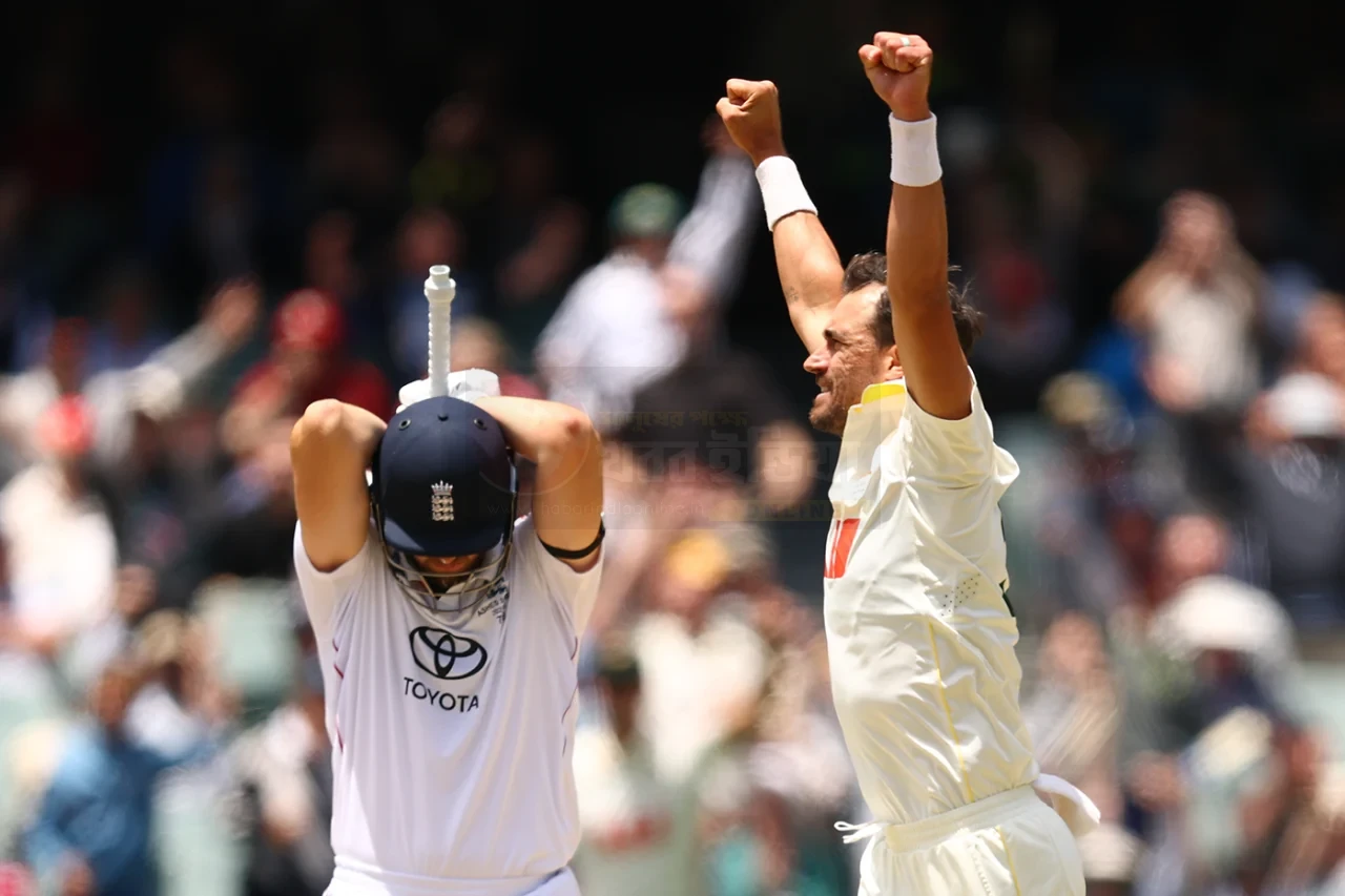 Australia celebrate Ashes series win at home