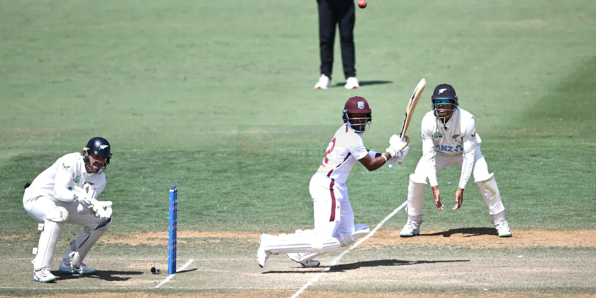 Kavem Hodge celebrating his Test century