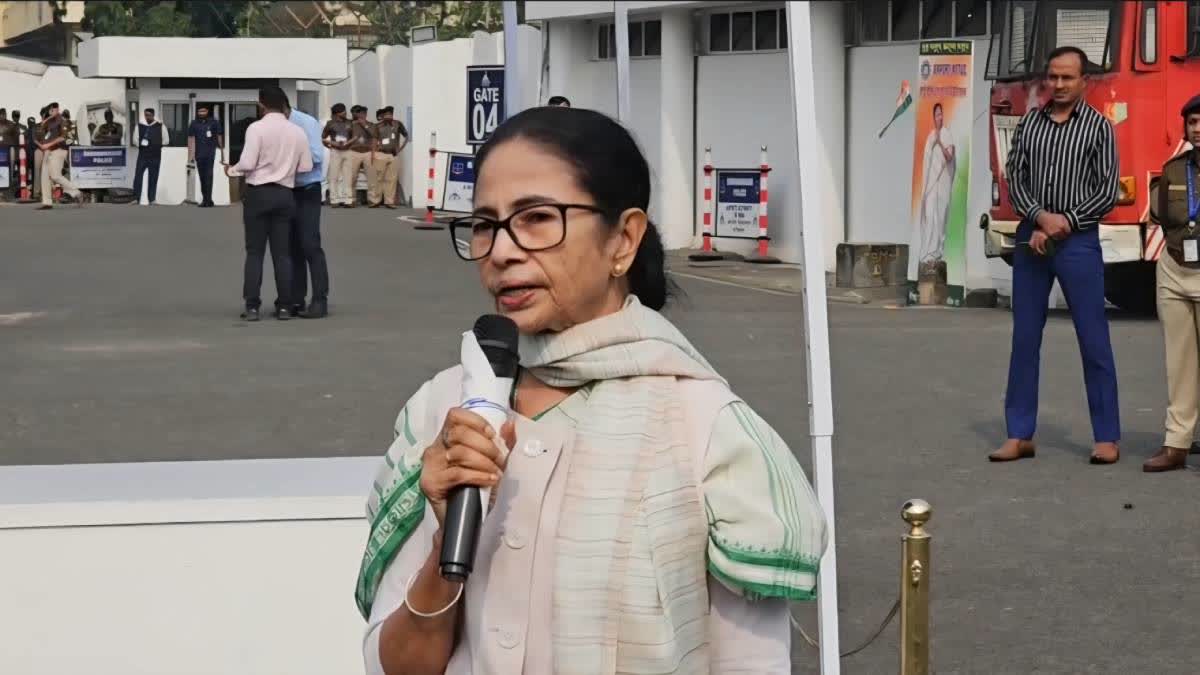 Indigo flight chaos and Mamata Banerjee’s reaction