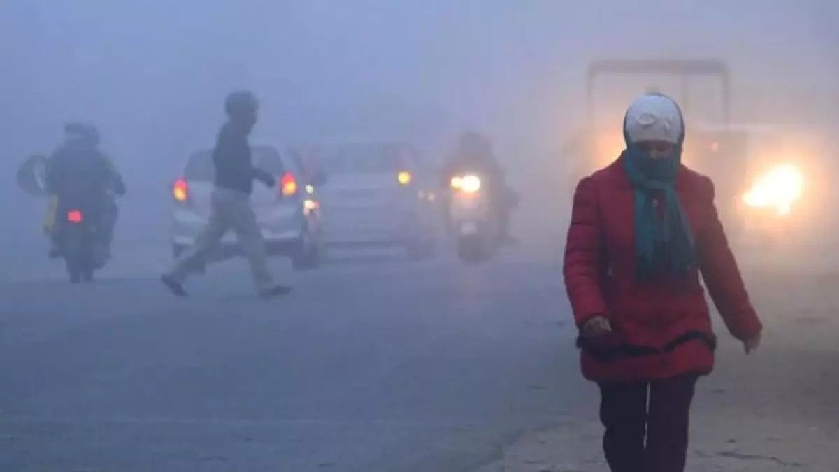 North India severe cold wave under La Nina effect