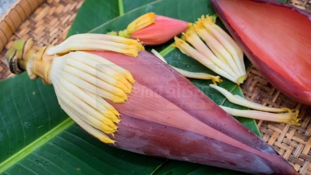 banana-flower-health-benefits