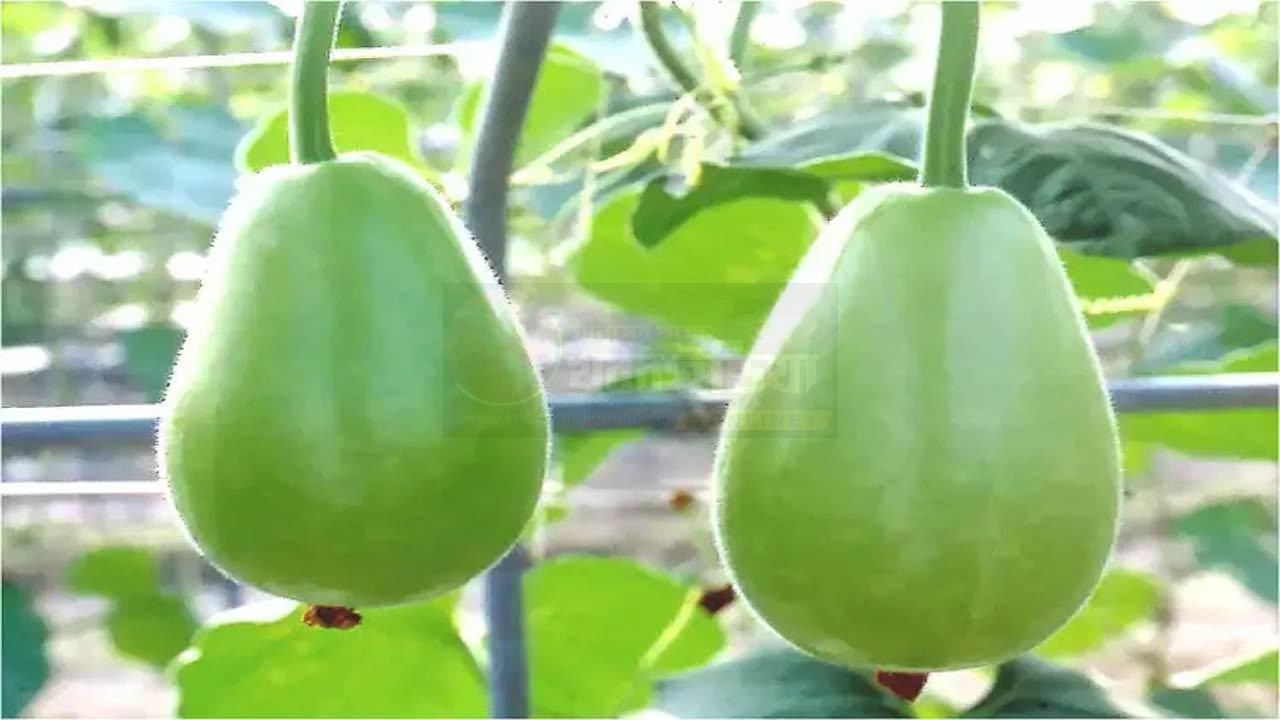 lau-weight-loss-benefits