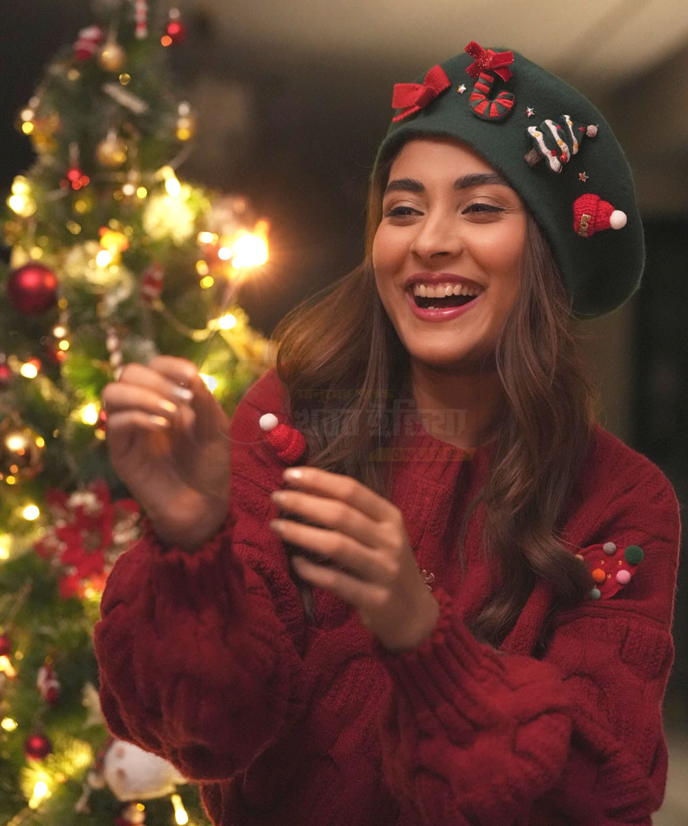 mehajabin-chowdhury-christmas-celebration