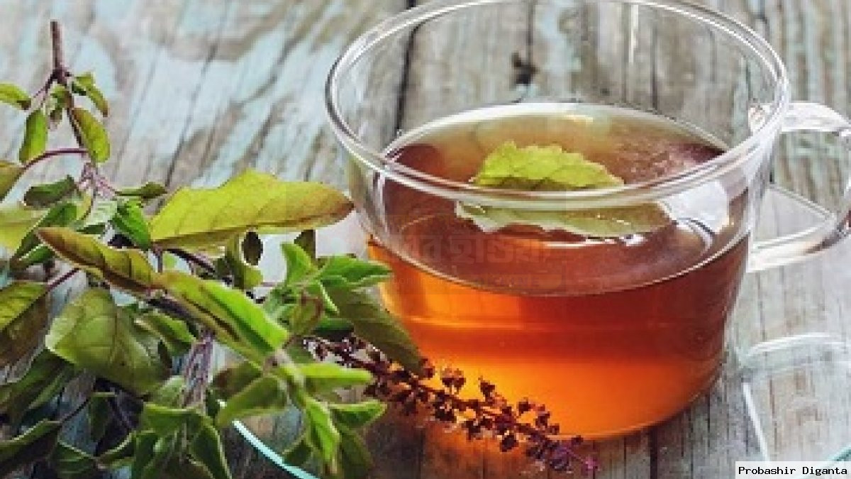 tulsi-tea-for-cough-in-winter