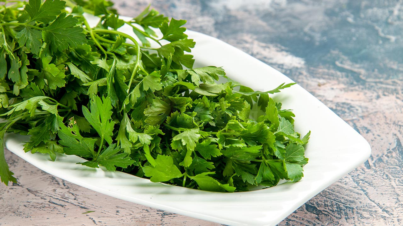 Fresh coriander leaves health benefits