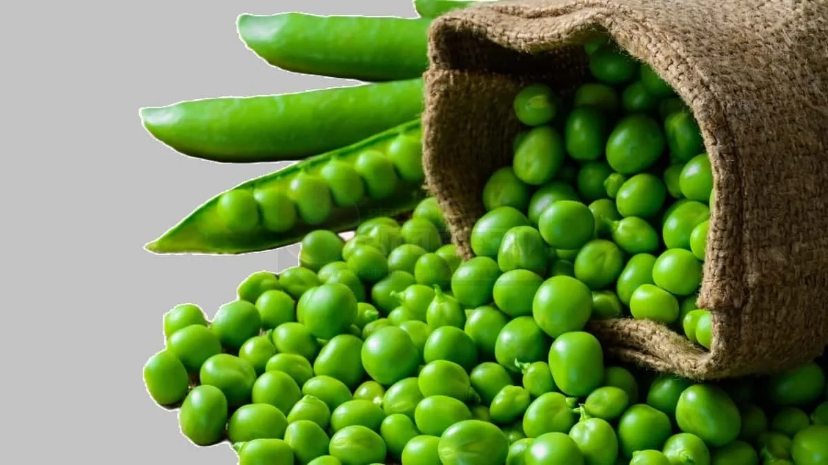 motor-suti-upokarita-winter-diet